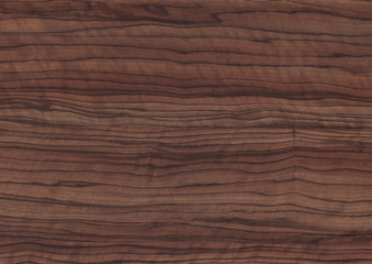 Wood oak tree close up texture background. Wooden floor or table with natural pattern. Good for any interior design