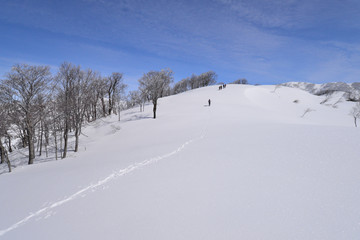 快晴の雪原　霧氷の稜線を行く