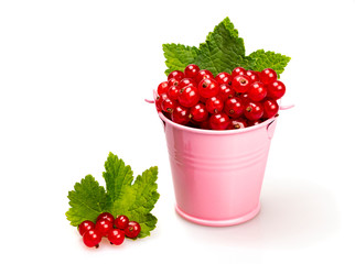 Ripe red currants with green leaves in a pink bucket and near it, on a white background. Close-up. Still life.