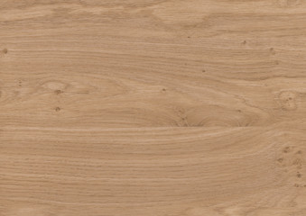 Wood oak tree close up texture background. Wooden floor or table with natural pattern. Good for any interior design
