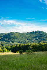 Obraz premium gory suche kamienne Meziměstská vrchovina