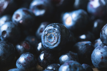 Bilberry, wild berry close-up. Blueberry