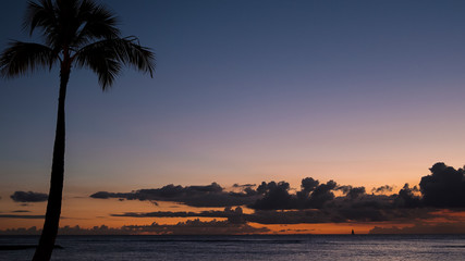 Evening tropical sky with silhouetted coconut palm tree to the left and wide open views towards ocean, dramatic sky and a faraway boat in Honolulu, Oahu Island, Hawaii