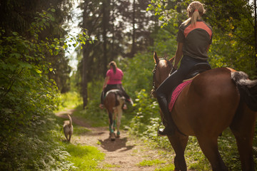 Girls on horseback. Walking through the woods on a horse. Dogs and horses are friends. Early summer. Horseback Riding.