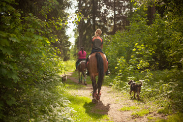 Girls on horseback. Walking through the woods on a horse. Dogs and horses are friends. Early...