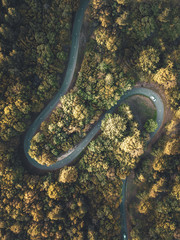 Route sinueuse sur laquelle roule une voiture dans une forêt d'arbres
