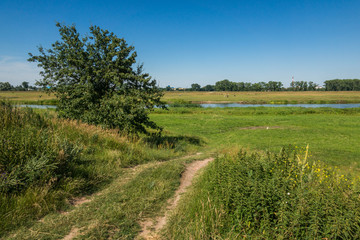 Warta river as sunny day near Kolo city, Poland