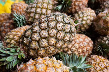 group of pineapple fruit