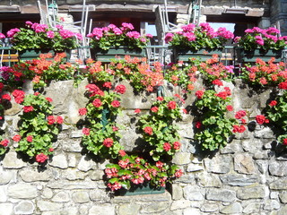 Ivoire イヴォアール_045