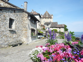 Ivoire イヴォアール_104