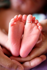 Close up of  newborn baby feet - 276488399