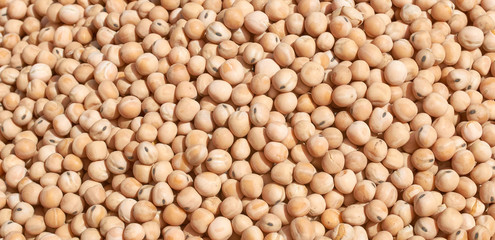 Background texture of crushed seed and grain mix for livestock and bird feed