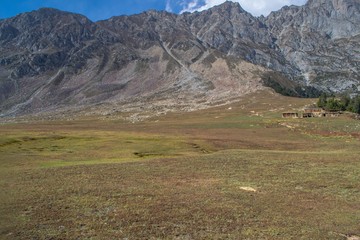 Light hitting the alpine meadow and cedar pine trees and rocks 