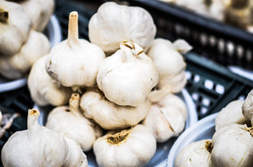fresh vegetables close up - tomatoes, cucumber, garlic, red onion, spring onion, radish, artichokes, asparagus, eggplant, mushrooms