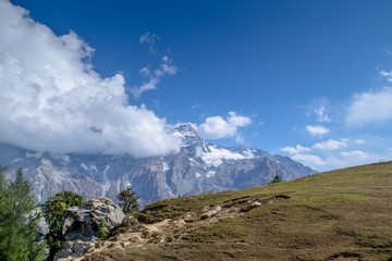 Light hitting the alpine meadow and cedar pine trees and rocks 