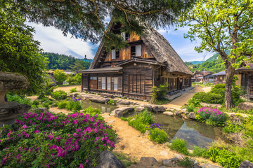 Fototapeta na wymiar Shirakawa-go - May 27, 2019: The traditional buildings of the village of Shirakawa-go, Japan