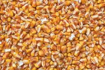 Background texture of crushed seed and grain mix for livestock and bird feed
