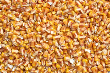 Background texture of crushed seed and grain mix for livestock and bird feed