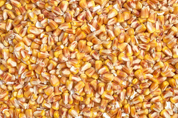 Background texture of crushed seed and grain mix for livestock and bird feed