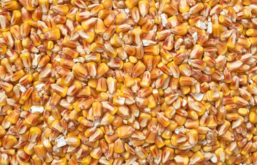 Background texture of crushed seed and grain mix for livestock and bird feed