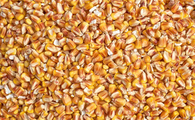 Background texture of crushed seed and grain mix for livestock and bird feed