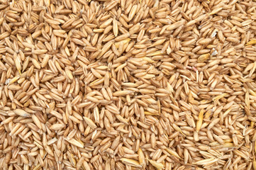 Background texture of crushed seed and grain mix for livestock and bird feed