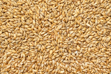 Background texture of crushed seed and grain mix for livestock and bird feed