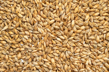 Background texture of crushed seed and grain mix for livestock and bird feed