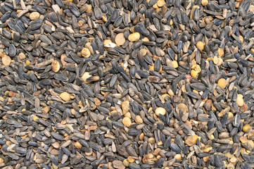 Background texture of crushed seed and grain mix for livestock and bird feed
