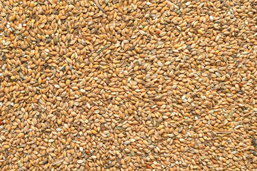 Background texture of crushed seed and grain mix for livestock and bird feed