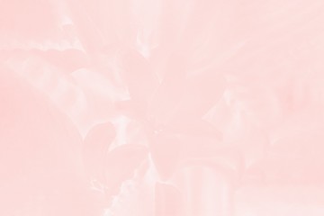Pastel pink background with delicate floral pattern