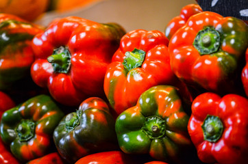 fresh vegetables close up - tomatoes, cucumber, garlic, red onion, spring onion, radish, artichokes, asparagus, eggplant, mushrooms