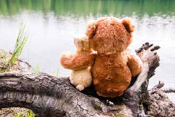 True friends, bunny and a teddy bear are sitting side by side on the shore of a forest lake, dreaming and remembering. Look forward, hug. Back view