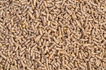 Background texture of crushed seed and grain mix for livestock and bird feed