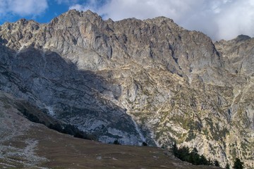 Light hitting the alpine meadow and cedar pine trees and rocks 