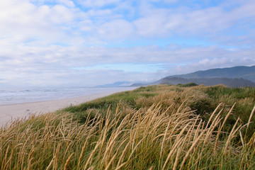 Dunes of Oregon coast. View at a sand dune covered with tall grass near Cape Meares Beach, Bayocean Peninsula park