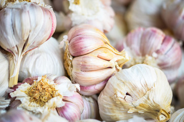 fresh vegetables close up - tomatoes, cucumber, garlic, red onion, spring onion, radish, artichokes, asparagus, eggplant, mushrooms