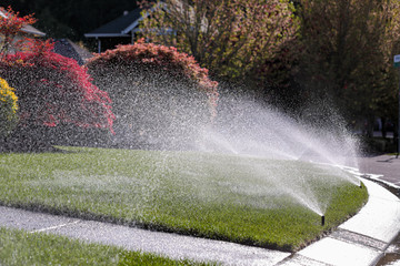 Water sprays from an automatic lawn sprinkler system over green lawn on a sunny day.