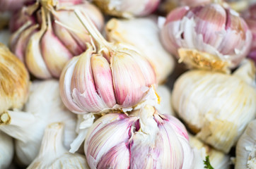 fresh vegetables close up - tomatoes, cucumber, garlic, red onion, spring onion, radish, artichokes, asparagus, eggplant, mushrooms