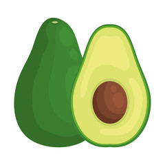 avocado fresh vegetable healthy icon