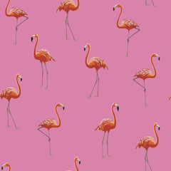 vector seamless flamingo pattern 