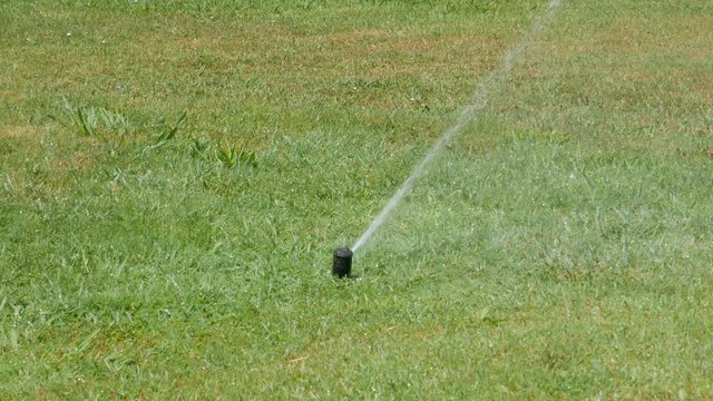 Rotating lawn sprinkler on a hot summer day, watering the grass
