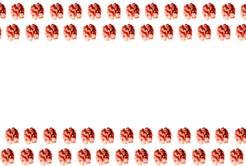 Concept banner of stylized walnuts similar to flowers. White background. Grange style. Space for text