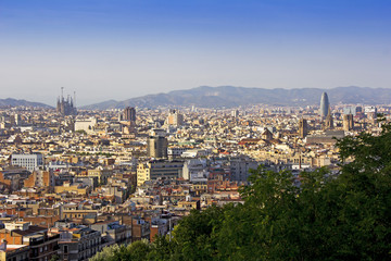 Fototapeta na wymiar Panoramic view of Barcelona in a summer day