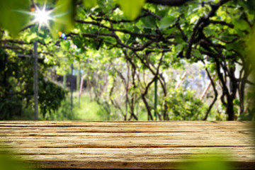 Desk of free space for your decoration and summer garden background 