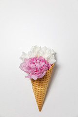 Bouquet of white and pink peonies in a waffle horn on a gently white background