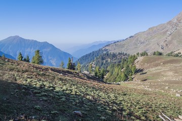 Rocky alpine meadow with mountains in background
