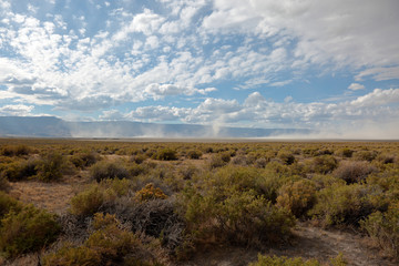 Sand and dust risen by the wind into the air. Dust devil at Summer Lake, Oregon