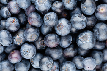 Fresh blueberry background. Texture blueberry berries close up.