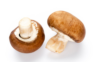 Fresh champignon mushrooms isolated on white.